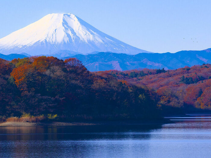 Schneebedeckter Fuji mit Herbstwald