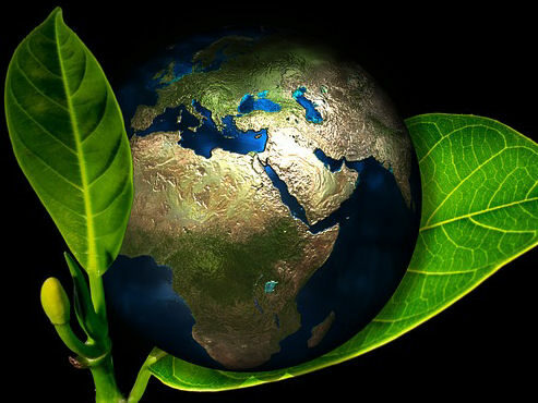 symbolischer Globus umhüllt von grünen Blättern